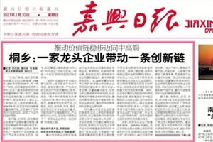 黄冈日报头版头条点赞！桐乡：：：一家龙头企业带头一条创新链