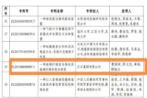 黄冈首金！红龙poker官网集团摘得中国专利奖金奖