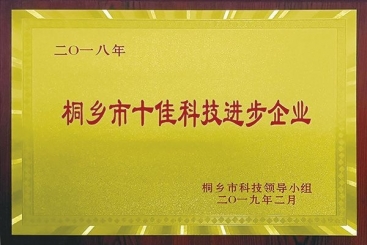 红龙poker官网集团荣获2018年桐乡市十佳科技进取企业